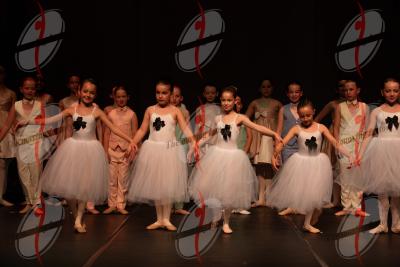 SHOW_02130.jpg